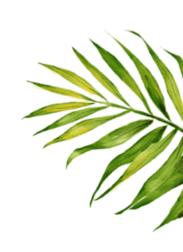 leaf-9